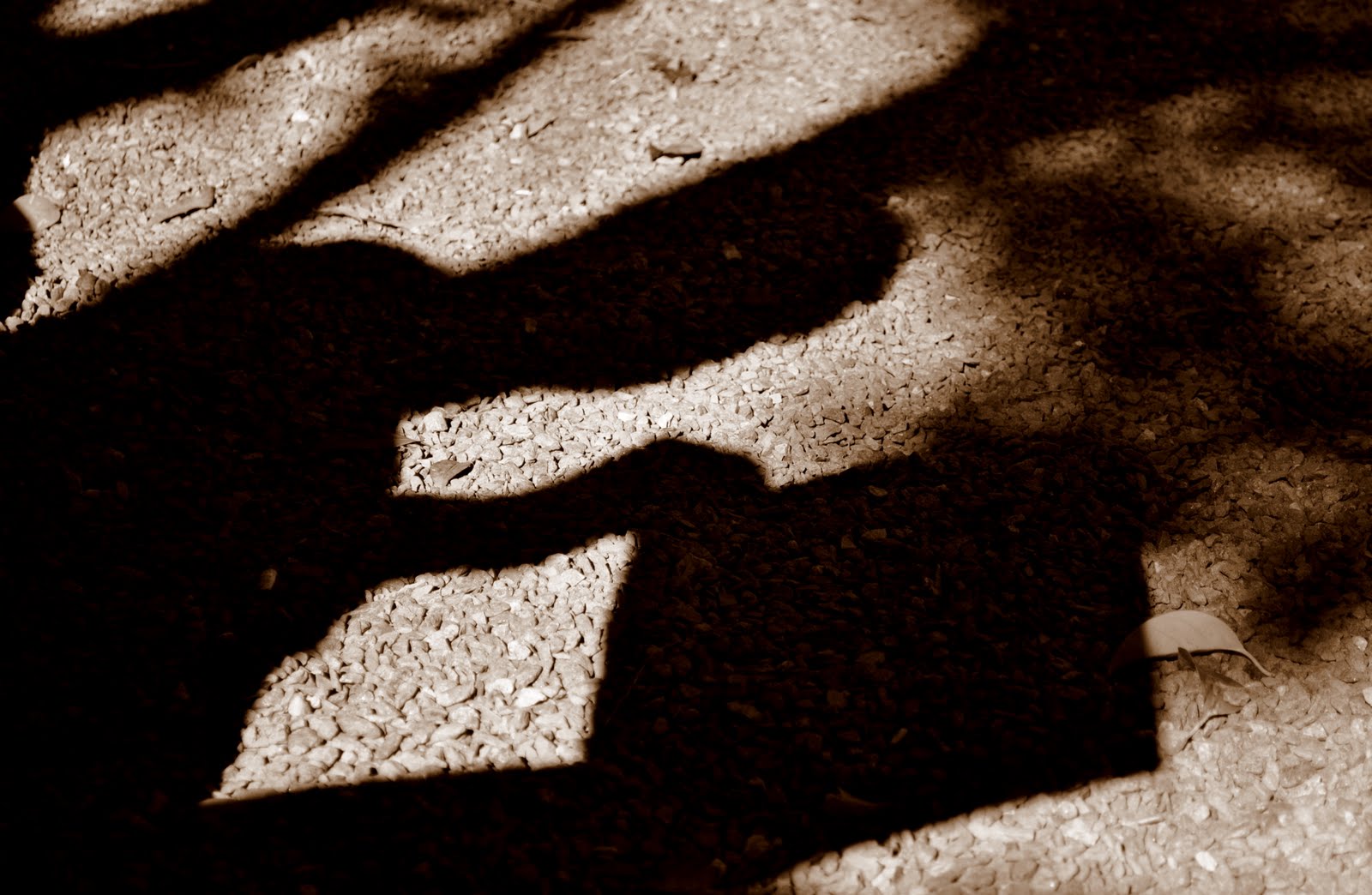 [DSC_0006.JPG]