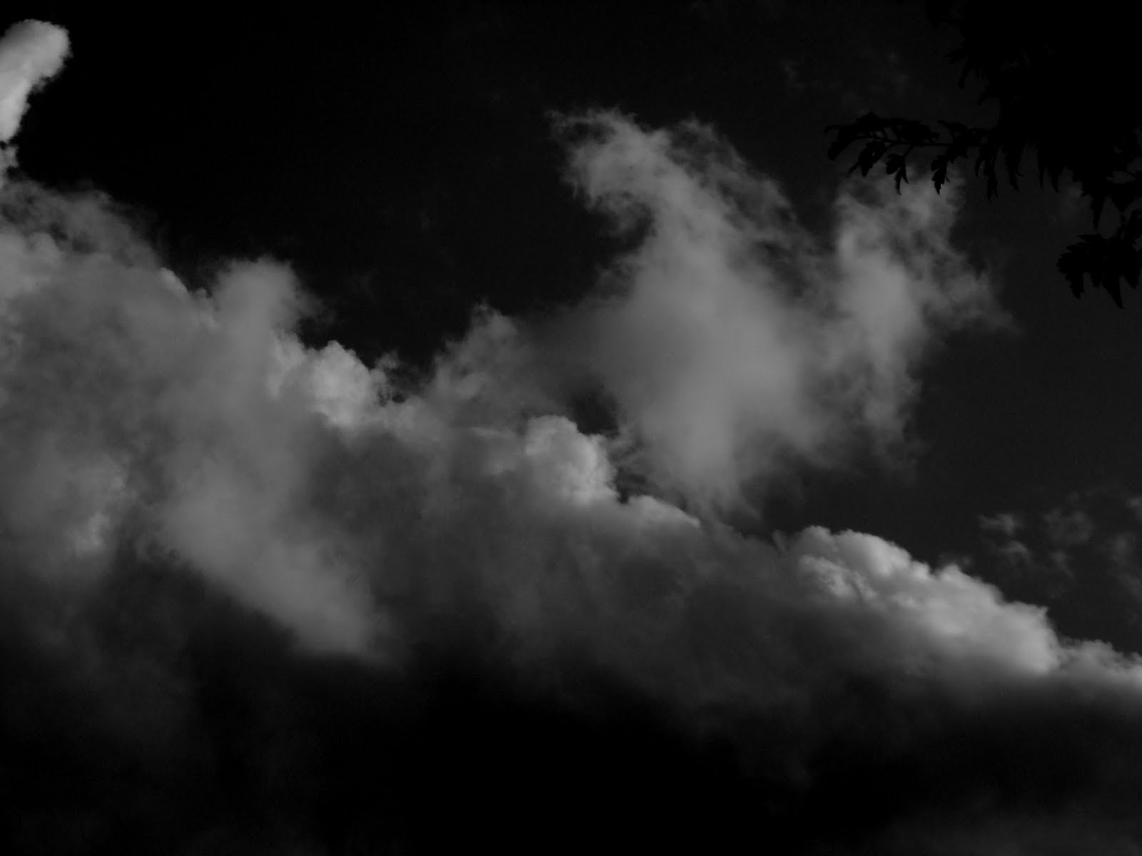 [DSC04460.JPG]