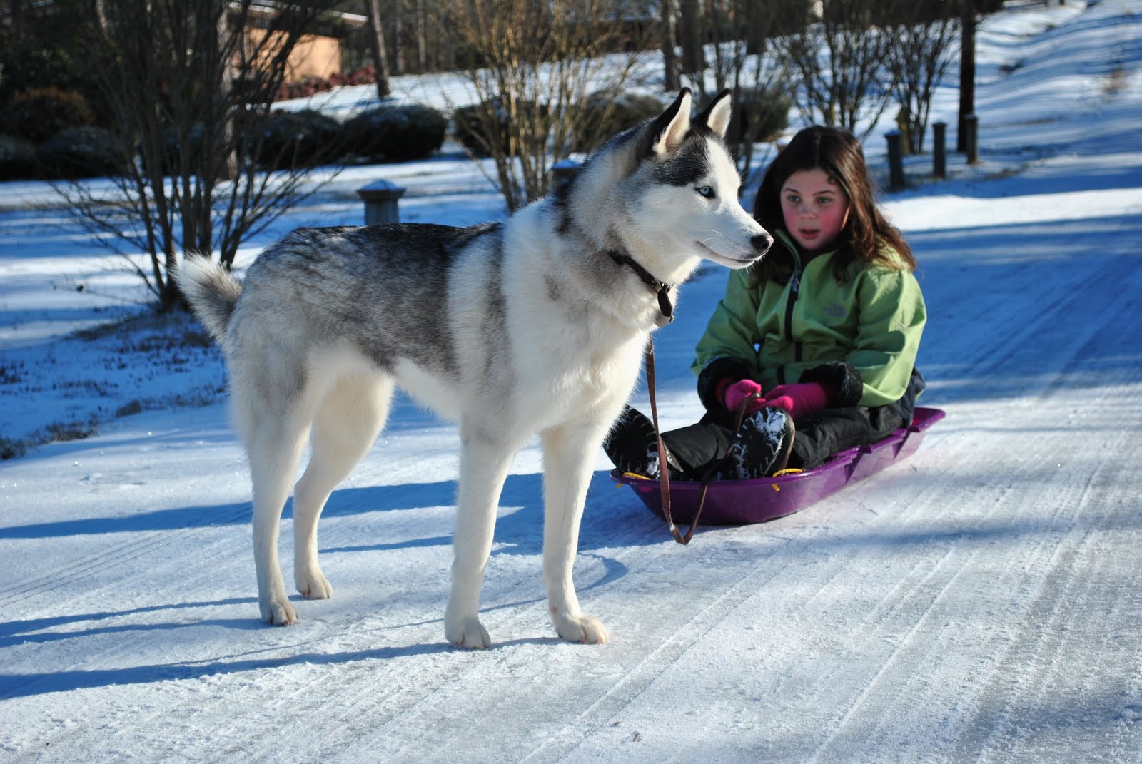 [DSC_0026.JPG]