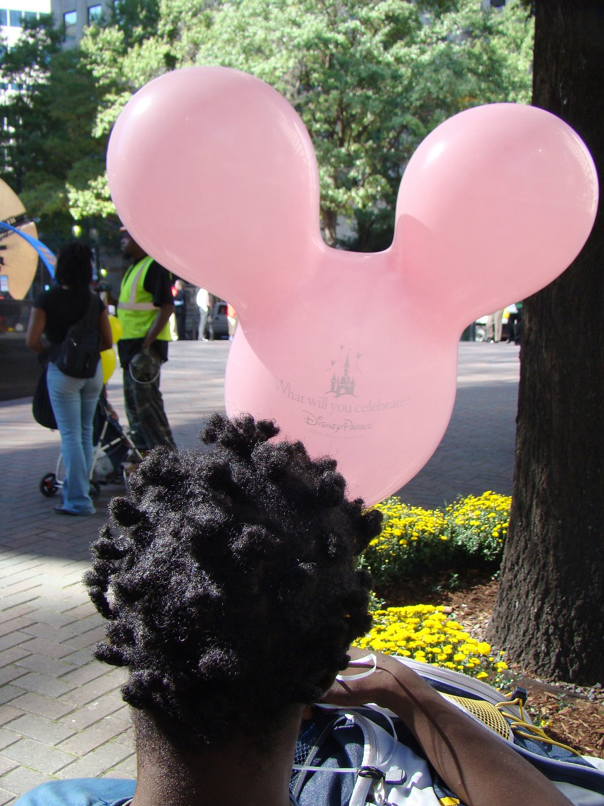 [DSC08656.JPG]