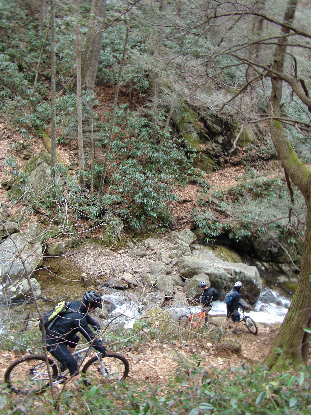[DSC09975.JPG]
