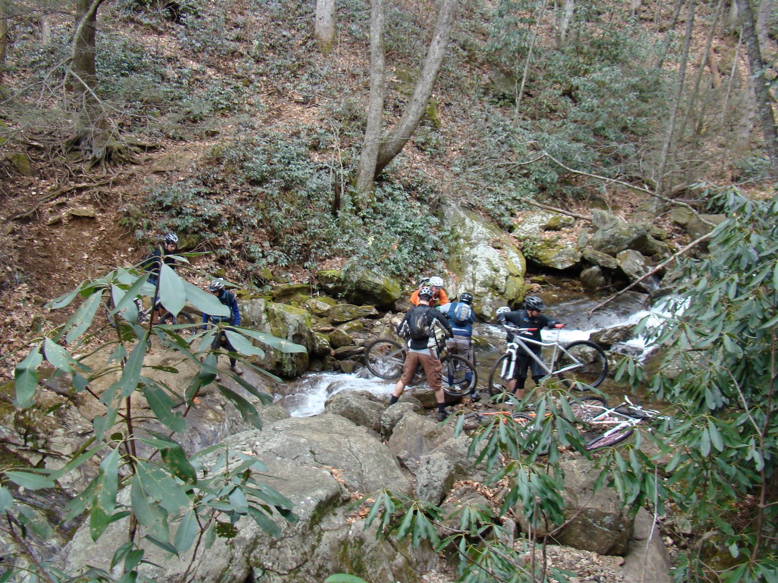 [DSC09983.JPG]