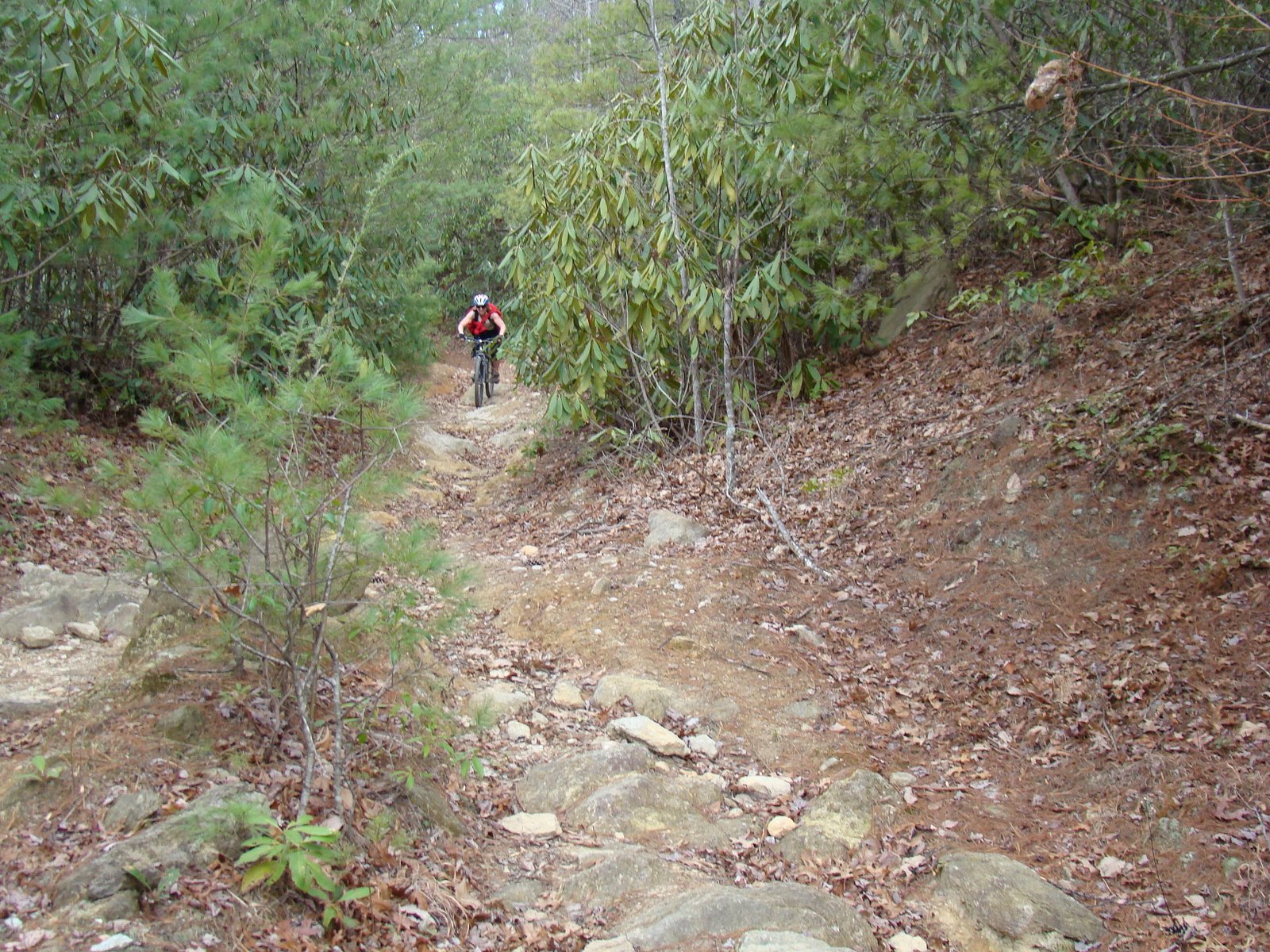 [DSC00461.JPG]