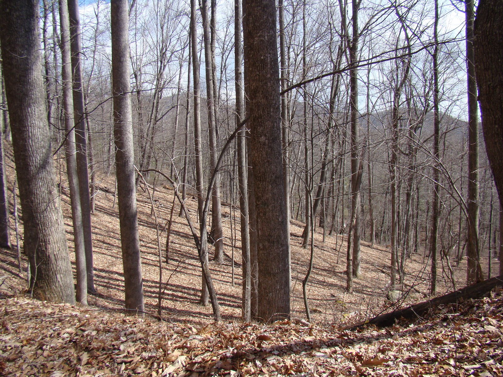 [DSC00635.JPG]