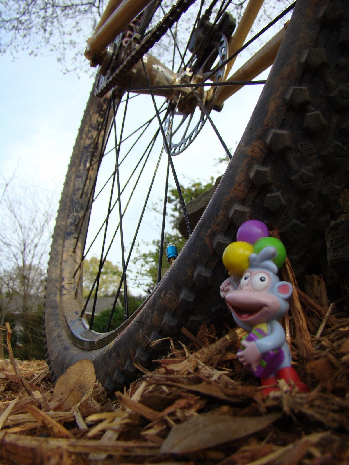 [DSC01223.JPG]