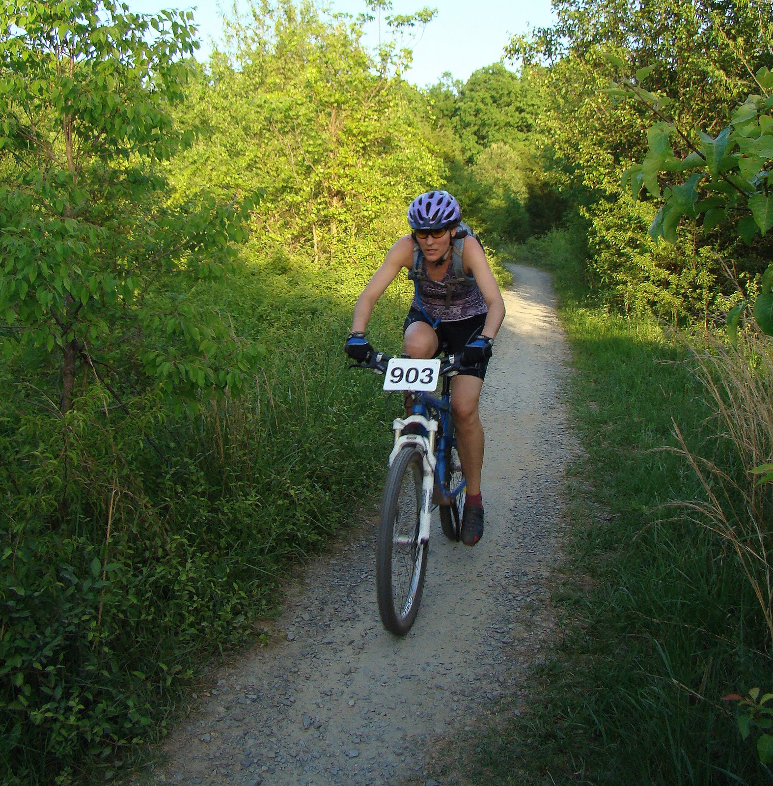 [DSC01679.JPG]
