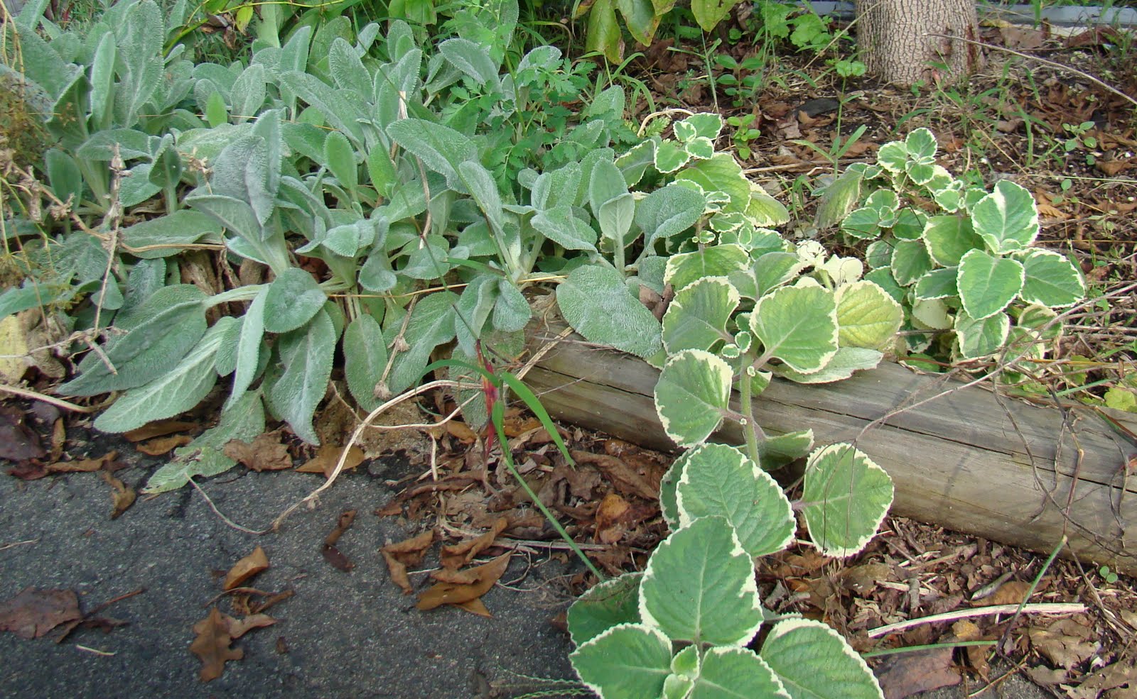[DSC05128.JPG]