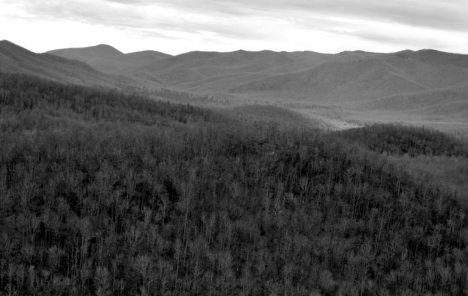 [DSC_0037.JPG]