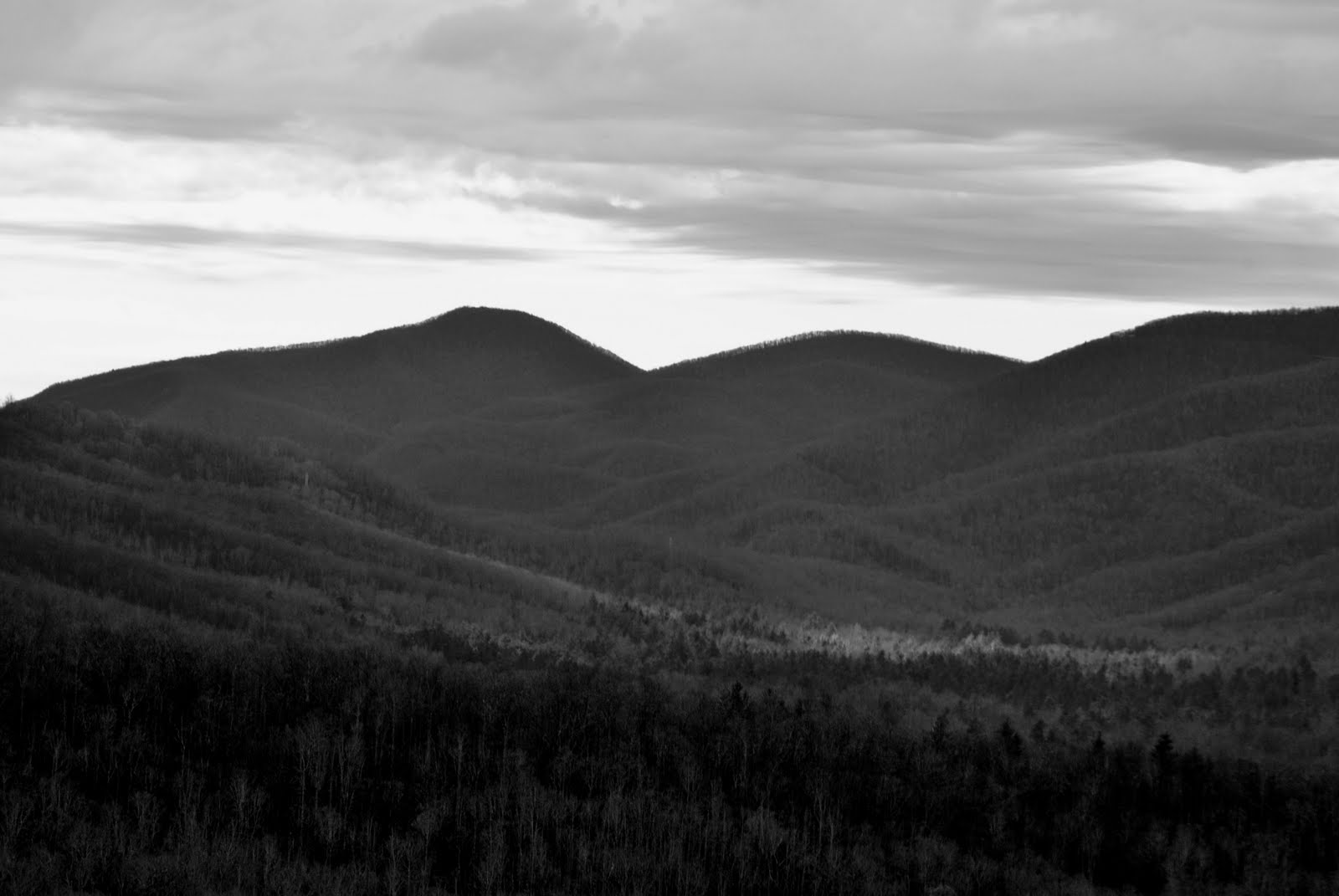 [DSC_0019.JPG]