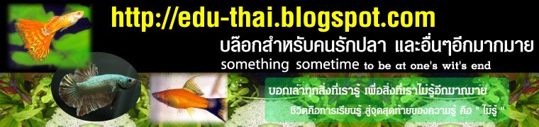 edu-thaiFish