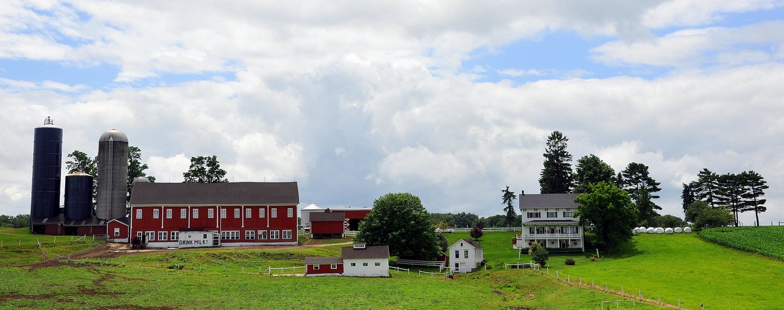 [DSC_0045.JPG]