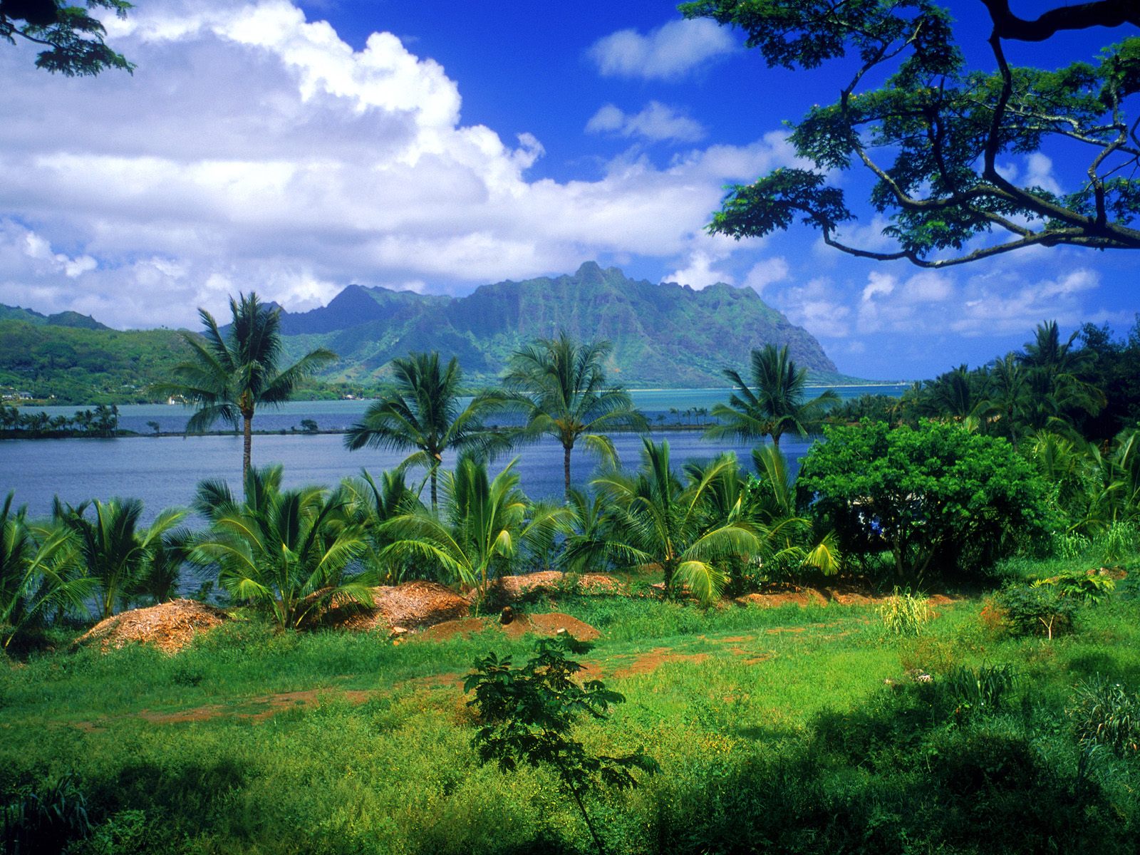 http://4.bp.blogspot.com/_e45GK4i1E8M/TRW999AkvUI/AAAAAAAACV8/QsD9X2TdTJM/s1600/Kaneohe_Fish_Pond_Oahu_Hawaii.jpg