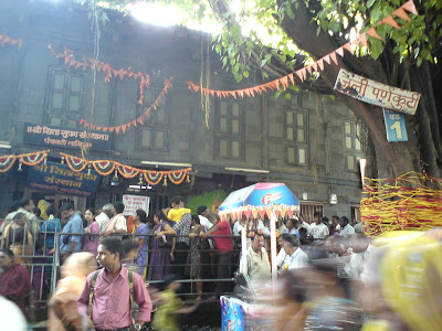 One of the five vat trees after which the area is called Panchvati - Nashik