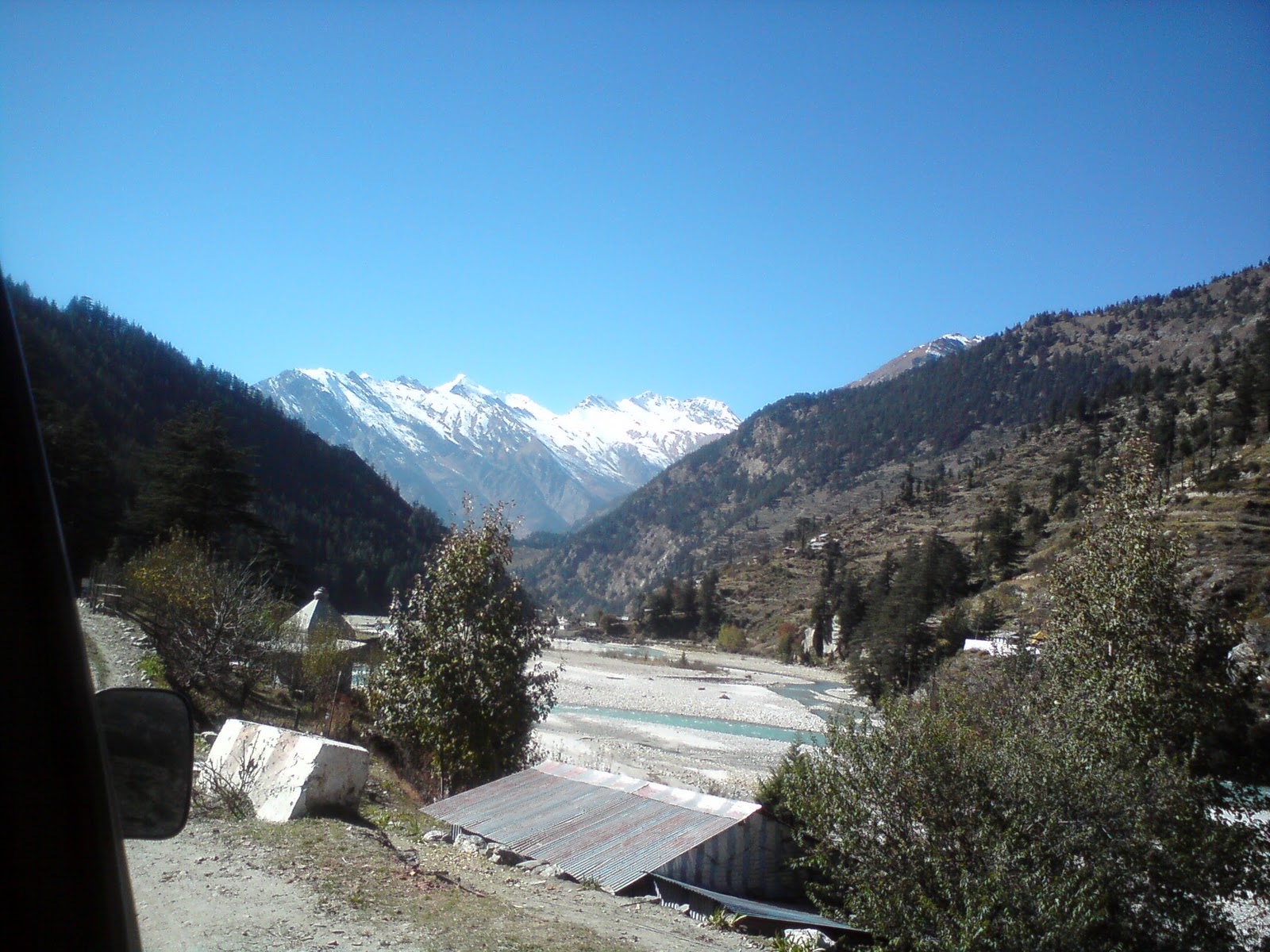 Himalayan Beauty