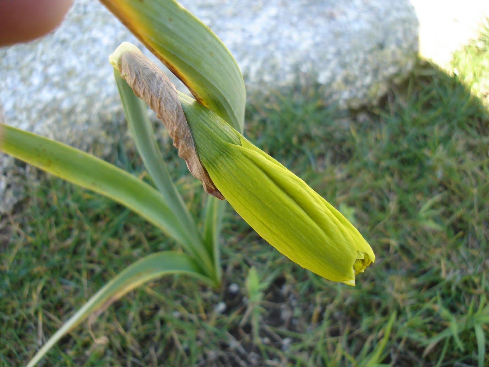 [DSC09639.JPG]