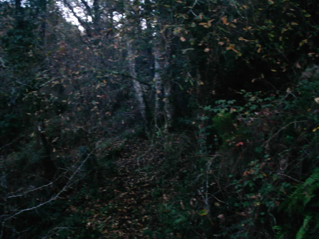 [IMAG0065.JPG]