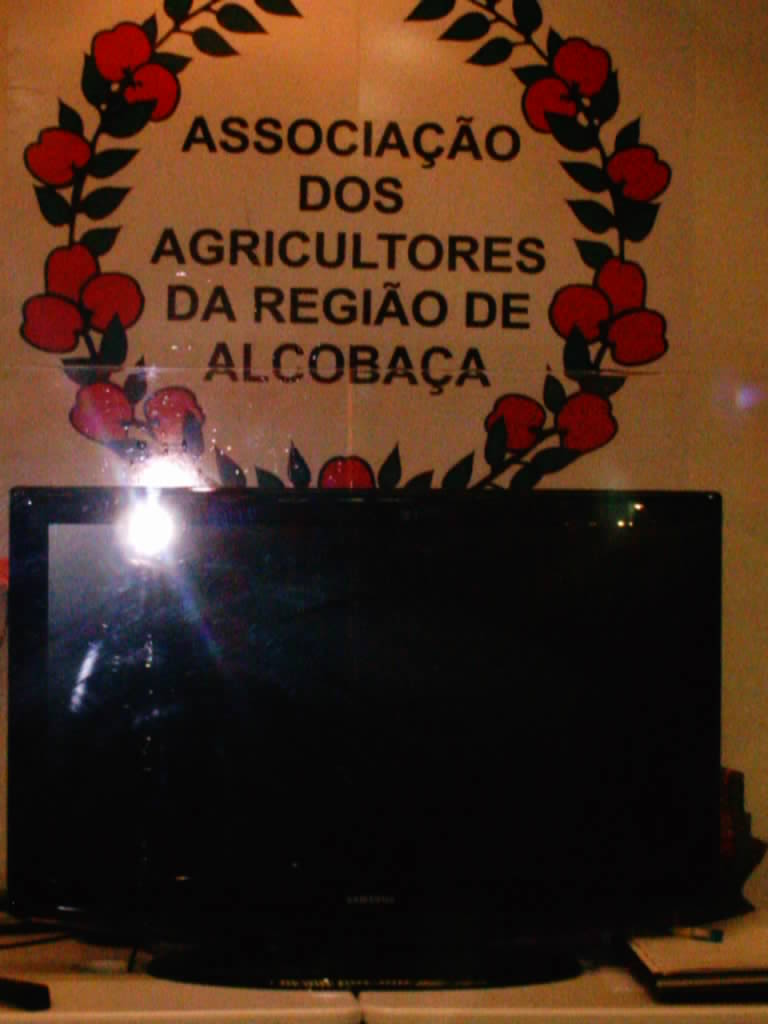 [IMAG0167.JPG]