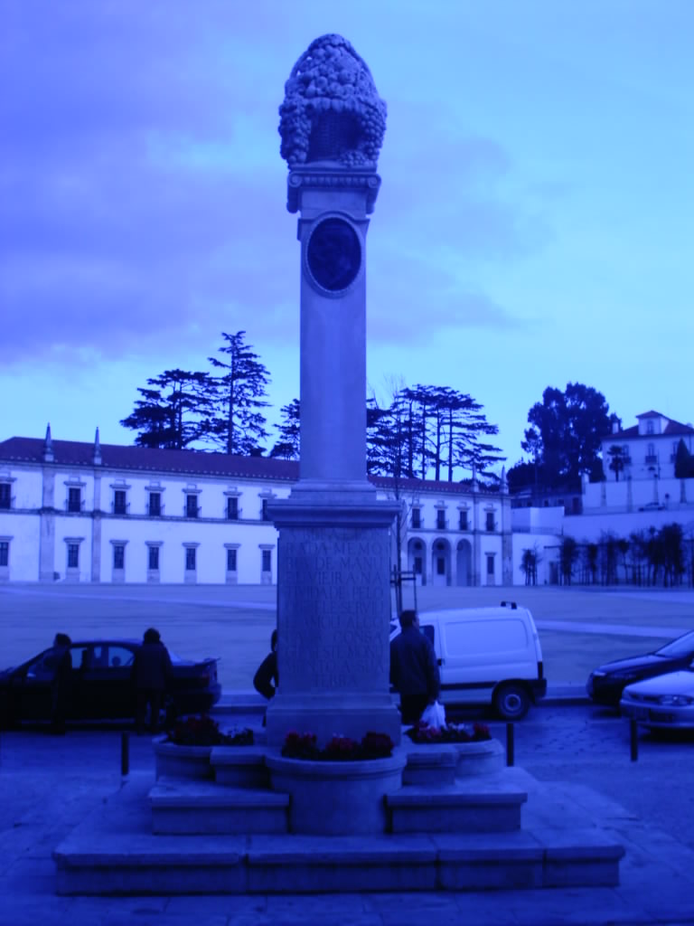 [IMAG0256.JPG]