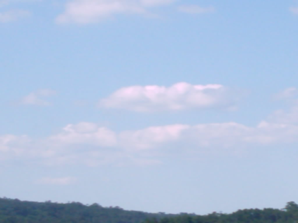 [IMAG0301.JPG]