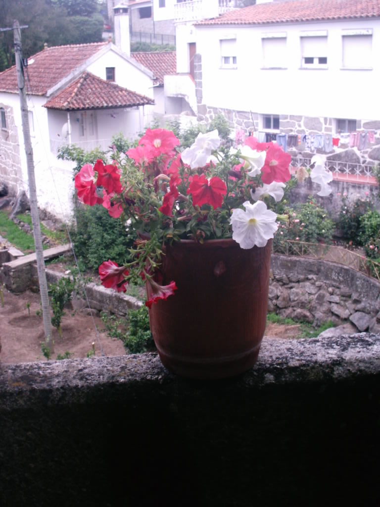 [IMAG0033.JPG]