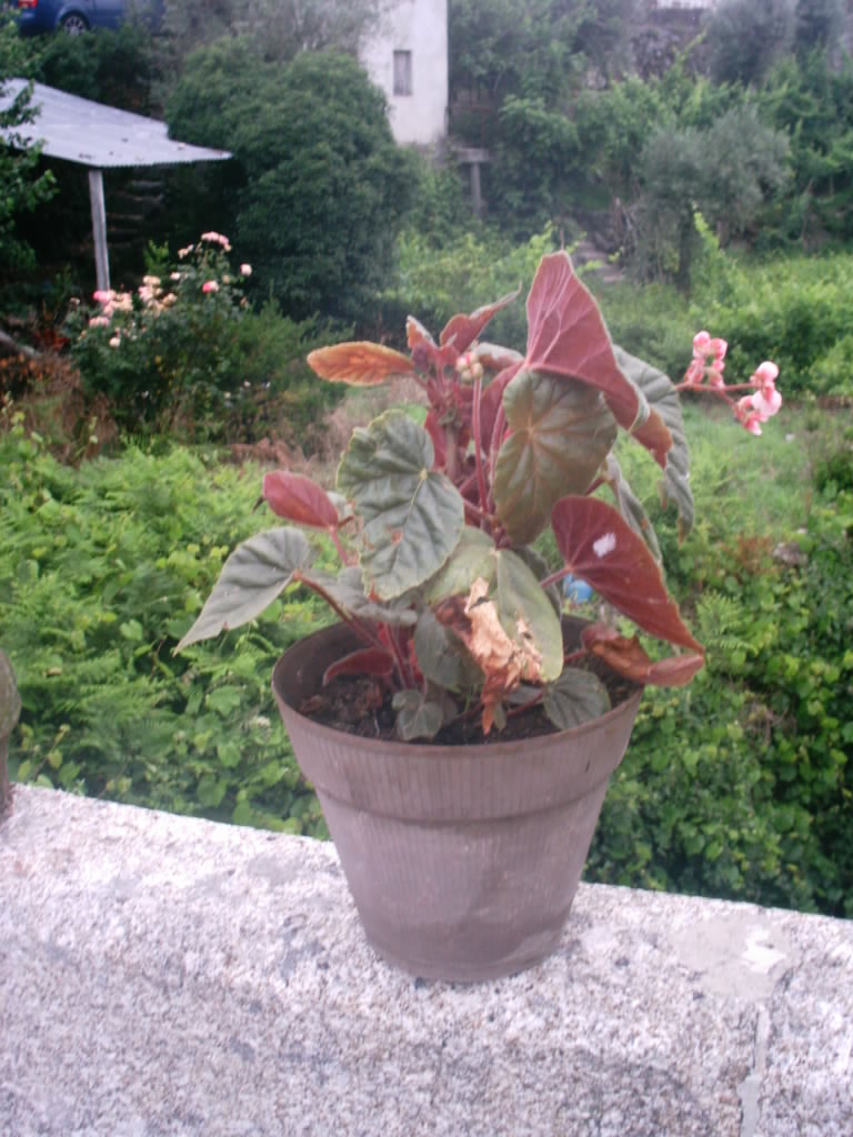 [IMAG0045.JPG]
