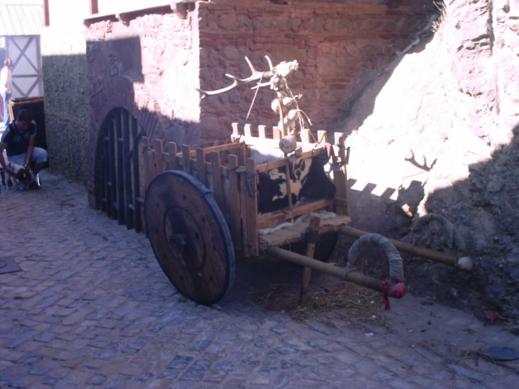 [IMAG0555.JPG]