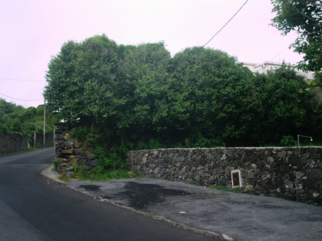 [IMAG0246.JPG]