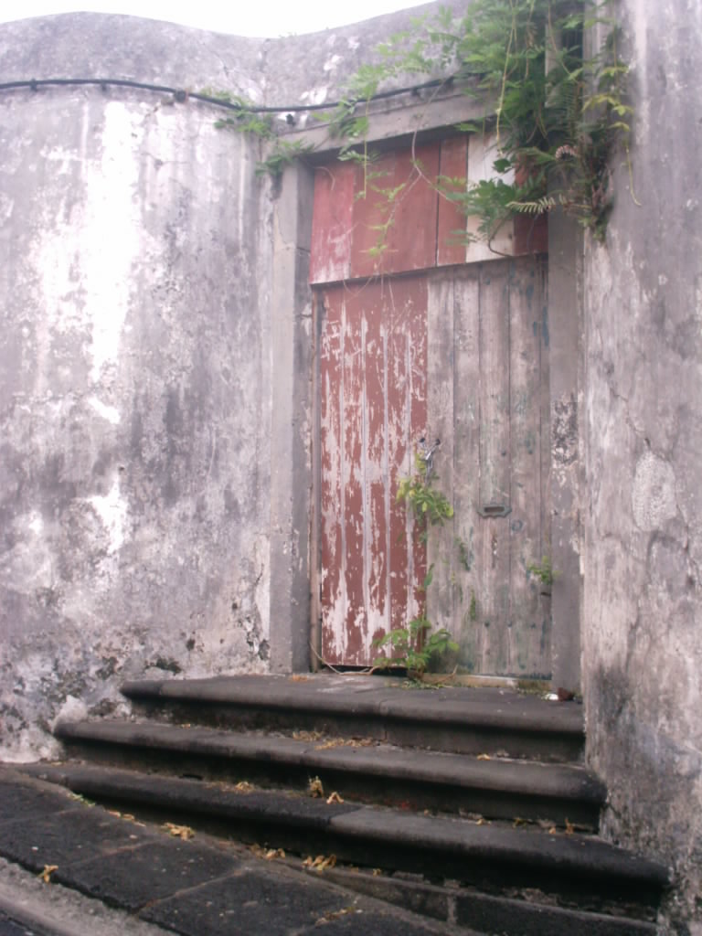 [IMAG0250.JPG]