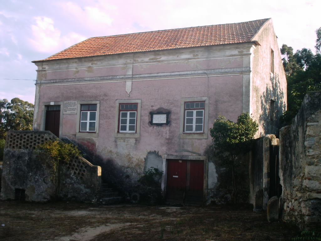 [IMAG0323.JPG]