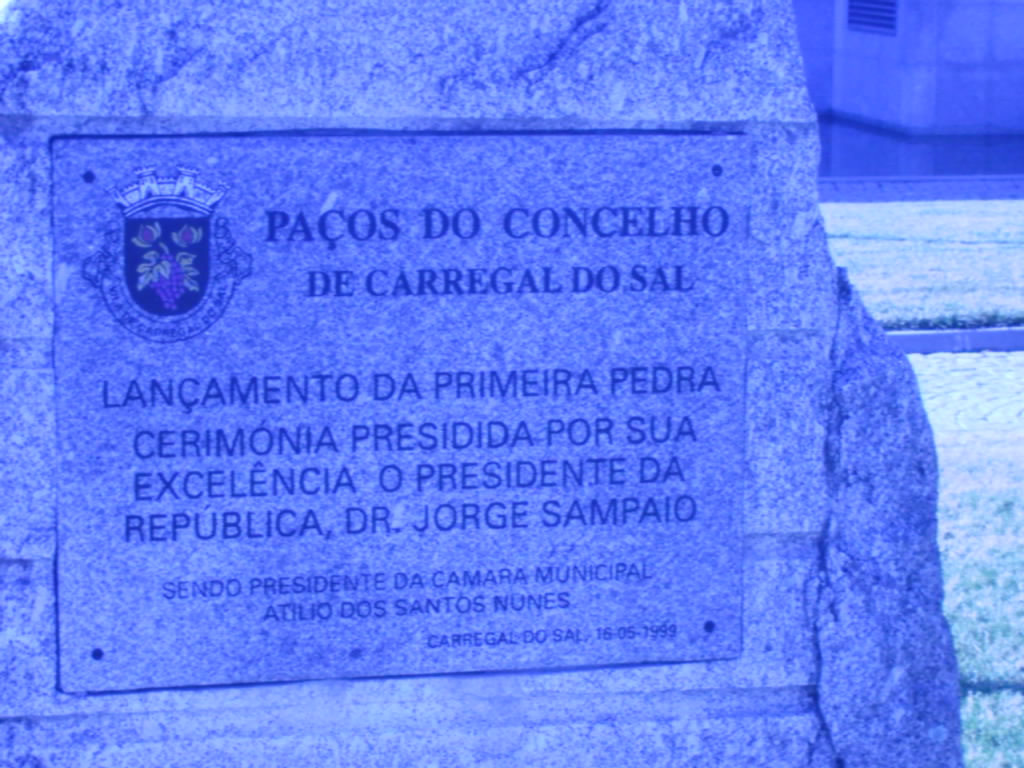[IMAG0135.JPG]