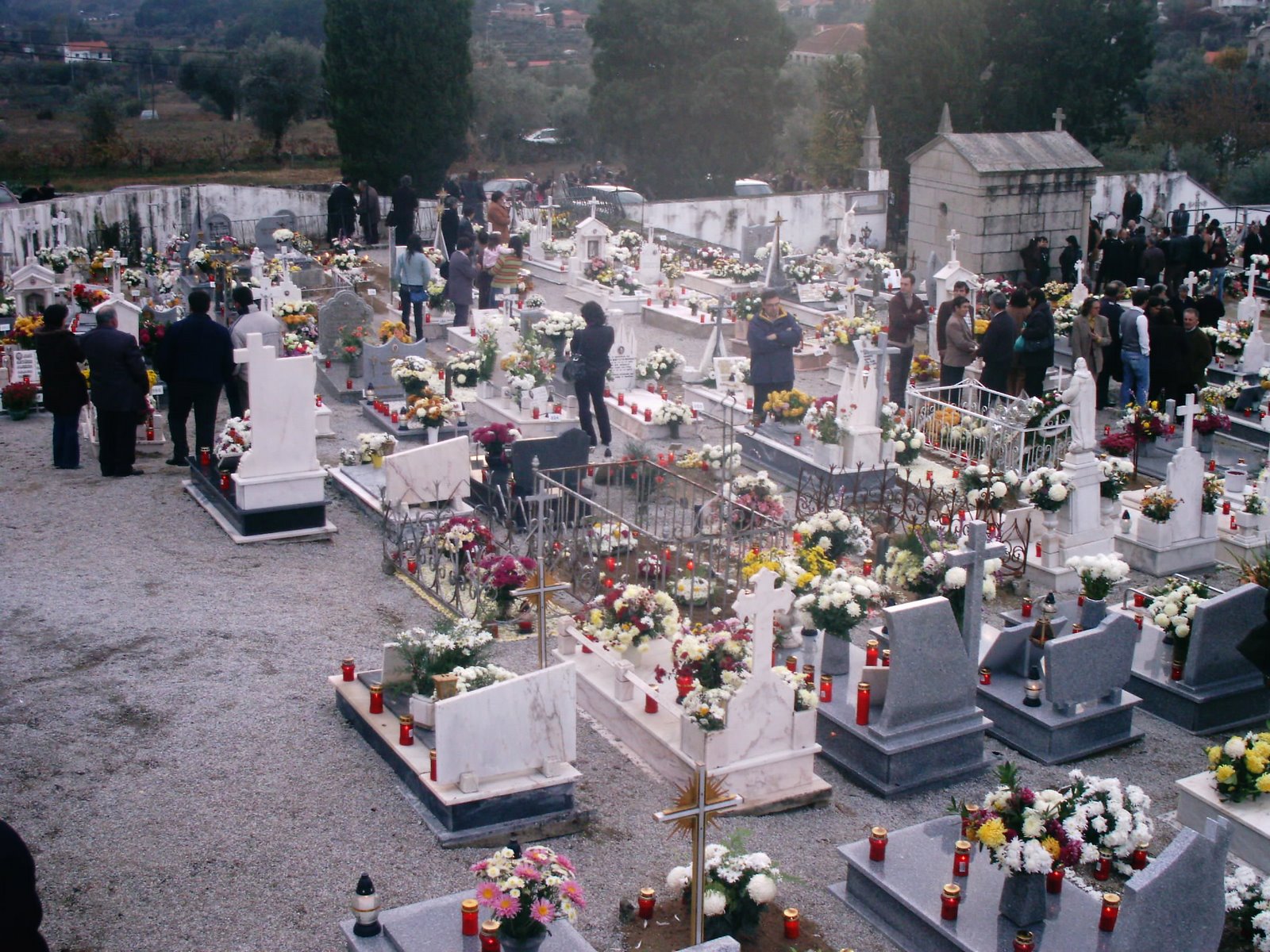 [IMAG0035.JPG]