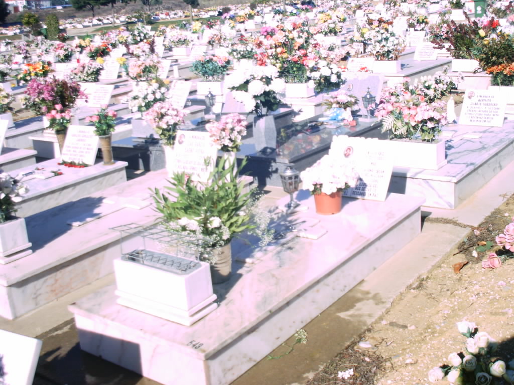 [IMAG0085.JPG]