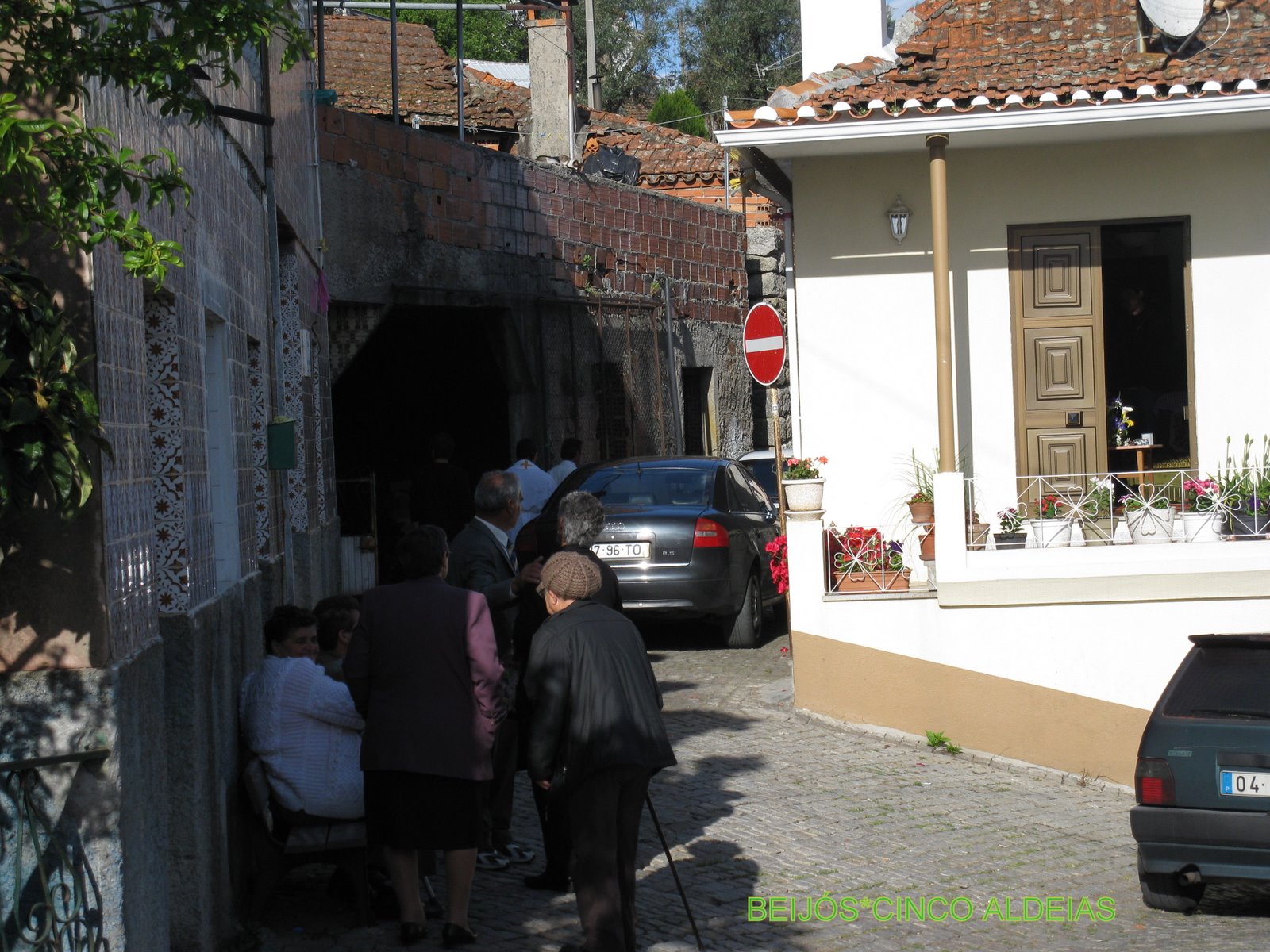 [IMG_4719.JPG]