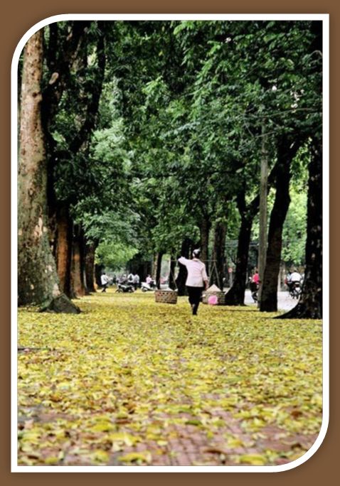 [ThuHaNoi-55.JPG]