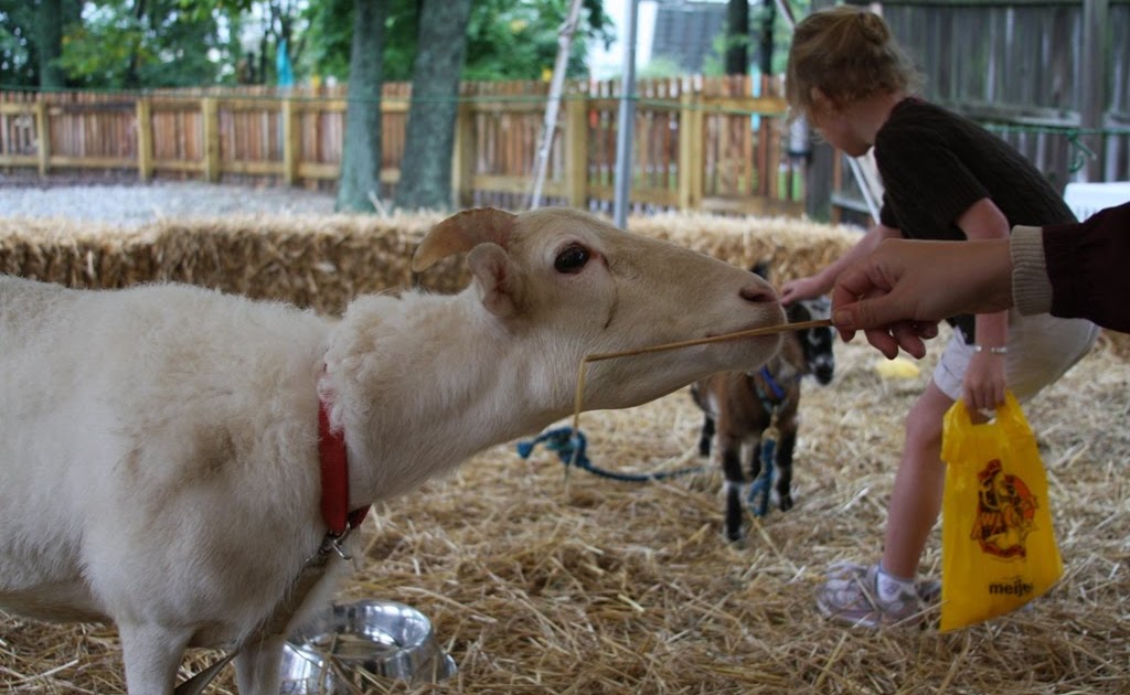 Kings Island Insider Petting Zoo new for 2009 at HowlOFest