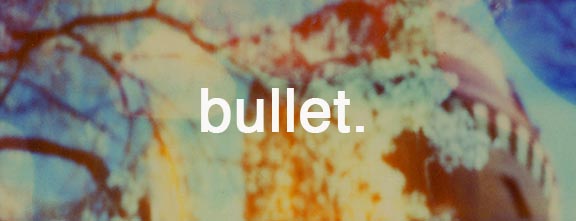 bullet.