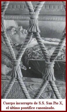 [San+Pío+X+incorrupto.jpg]