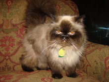Izzy