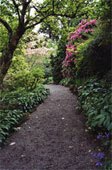 [garden+path.jpg]
