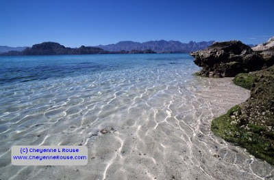 Baja Beach