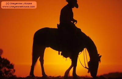 Cowboy Sunset Picture