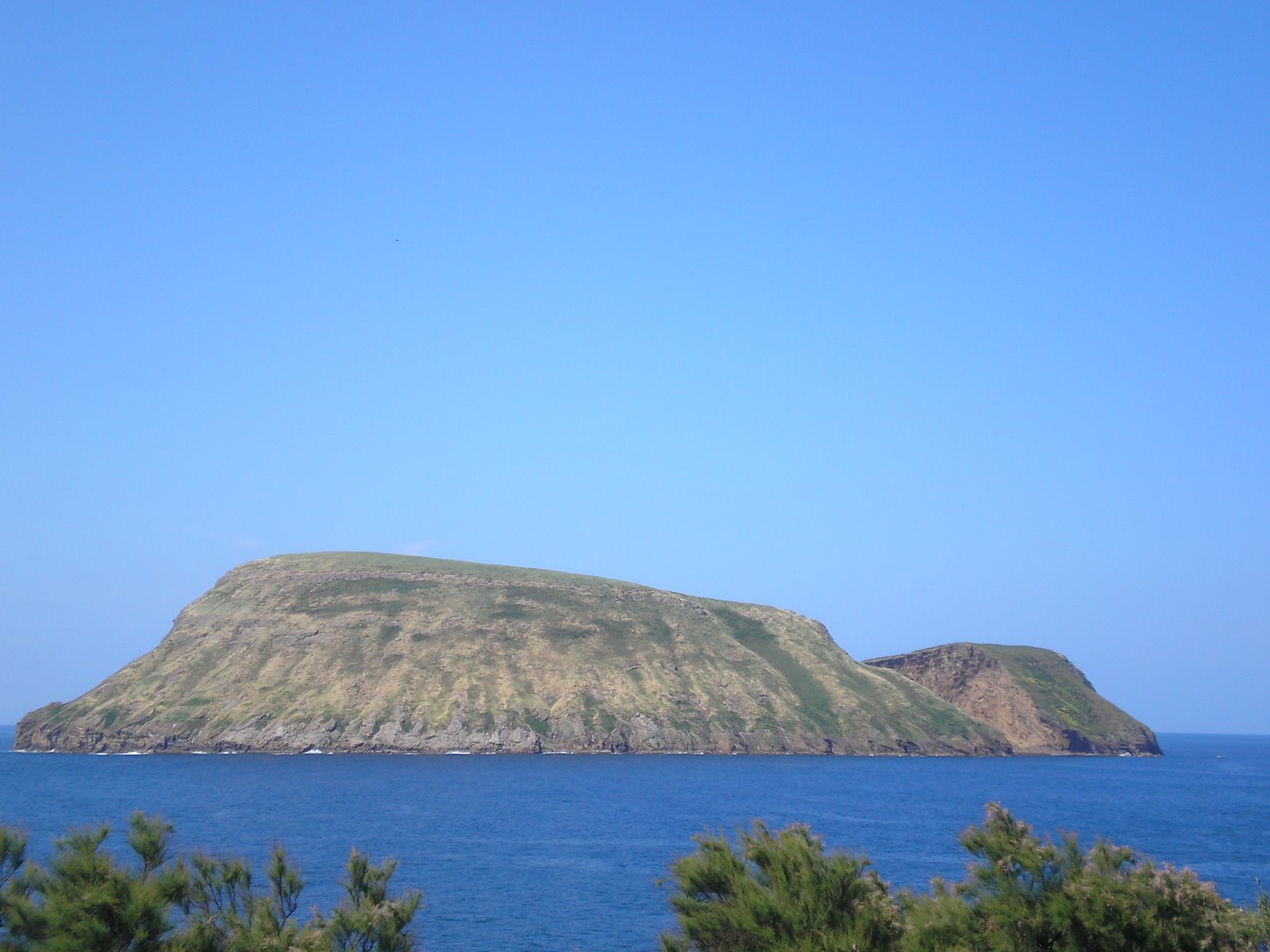 [P1010061.JPG]