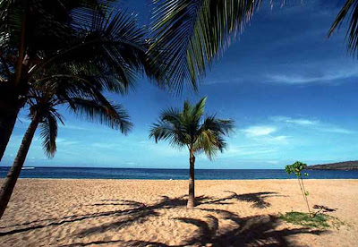 migration to Sunshine Coast