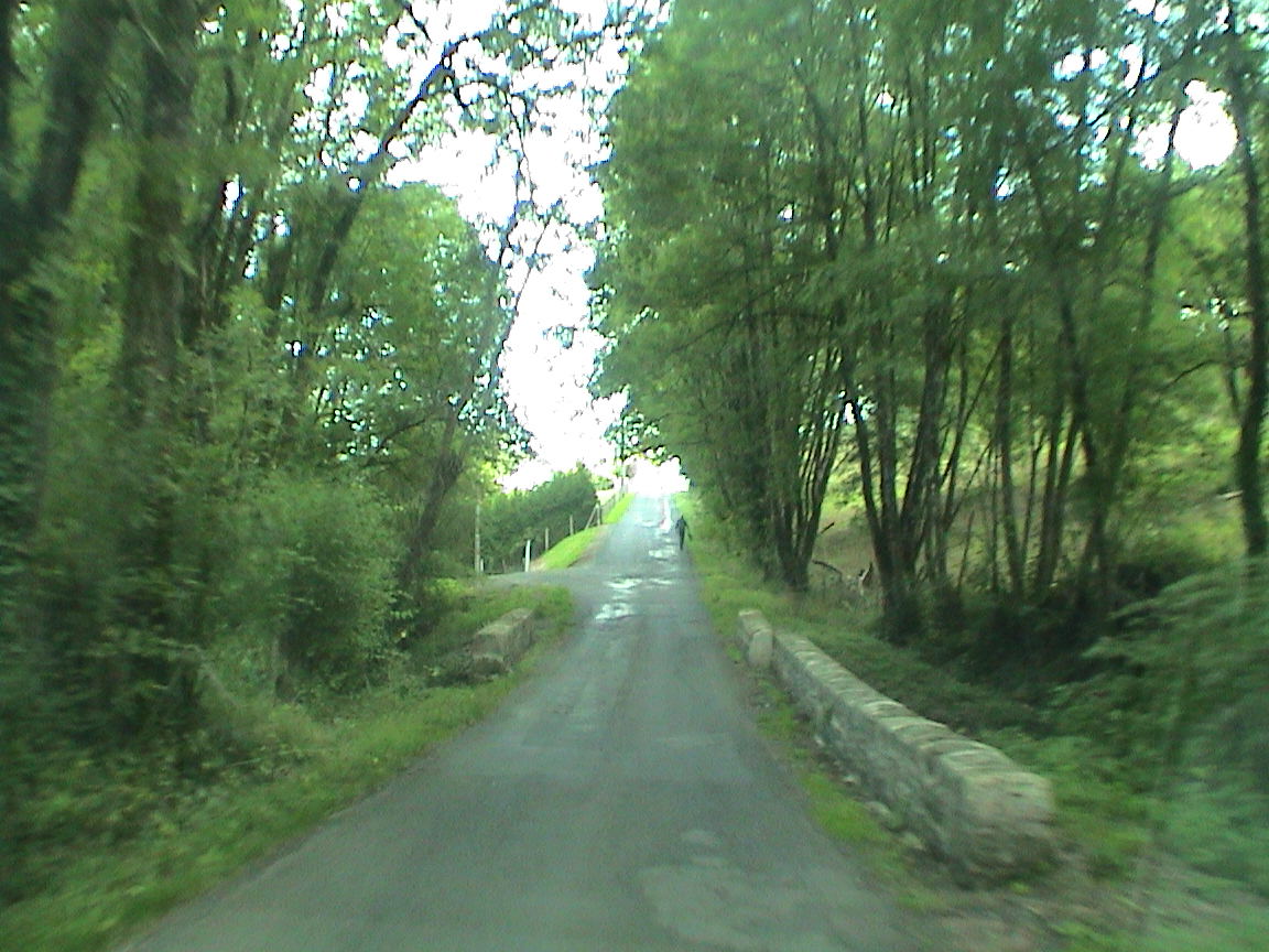 [DSC09092.JPG]
