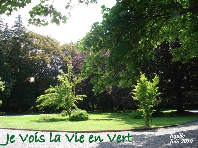 Je Vois La Vie en Vert (Novo) (Nouveau)