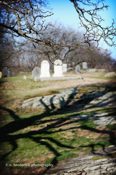 [Creepy+Tree+for+blog.jpg]