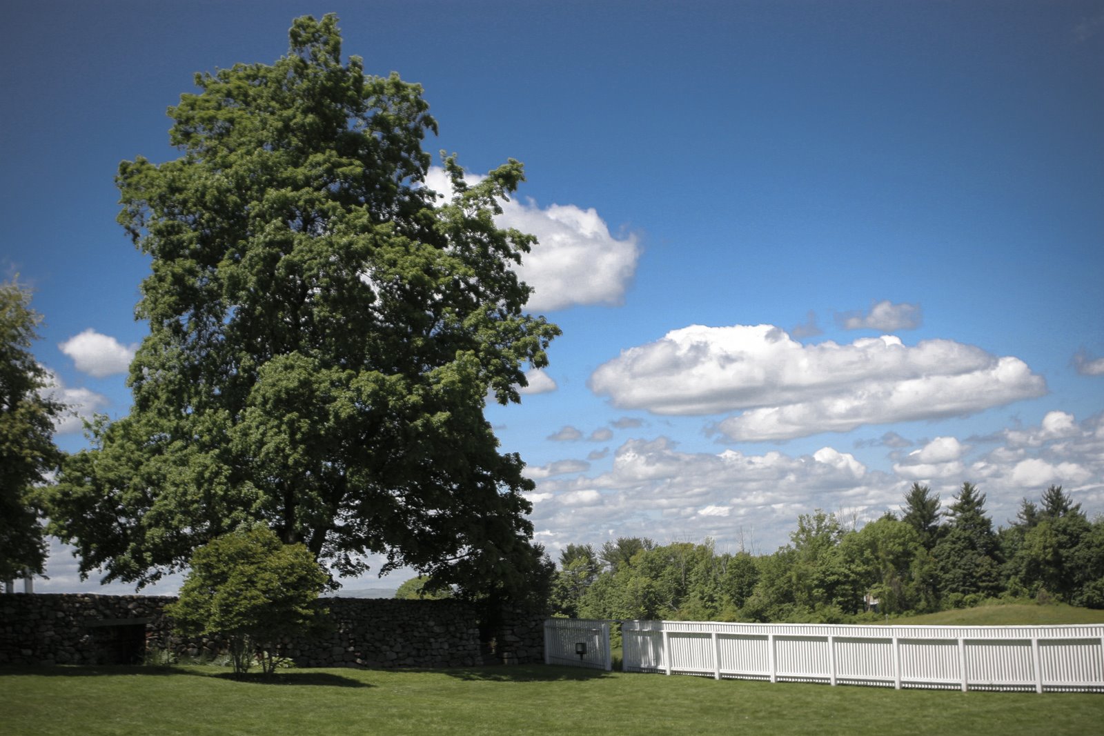 [IMG_5404-Edit.jpg]