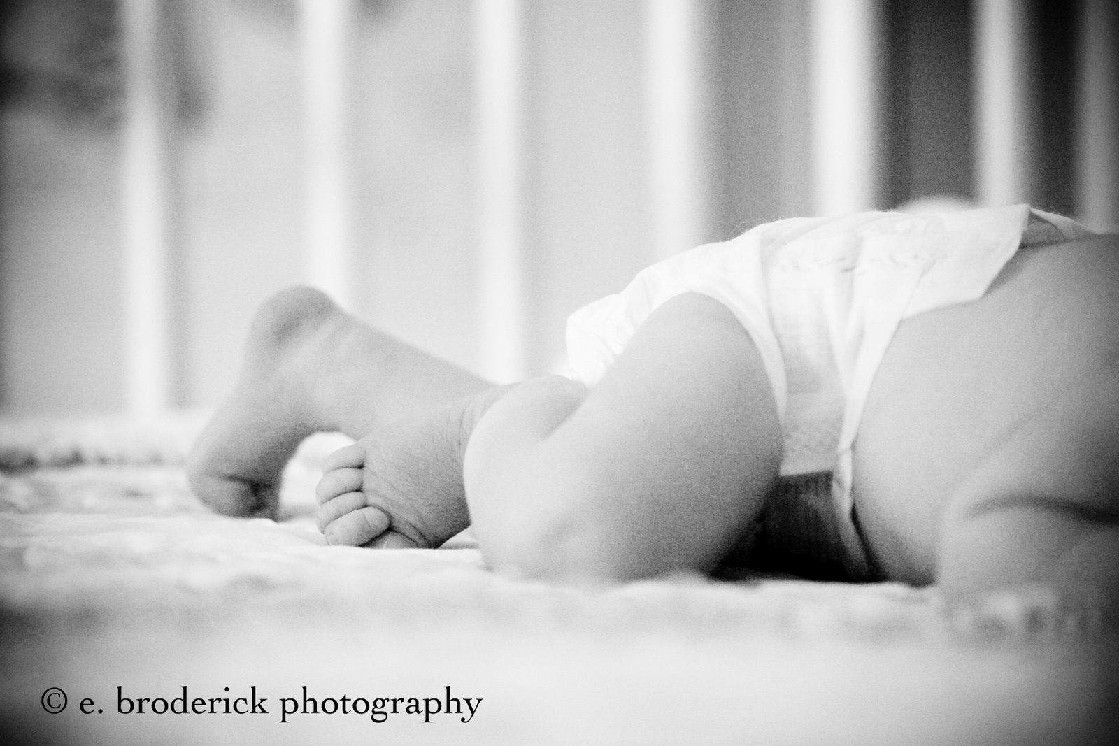 [IMG_7558-Edit_1.jpg]