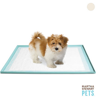 Martha Stewart Dog Toy Box Martha Stewart Dog Toy Box