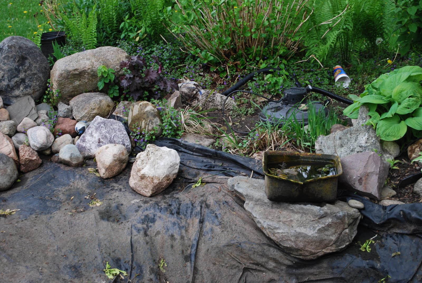 koi-pond-cleaning-refill